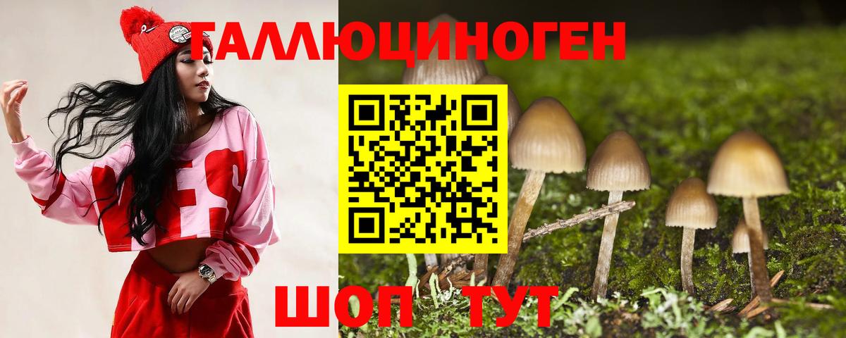 Десногорск  Галлюциногенные грибы мухоморы  Вход с VPN 